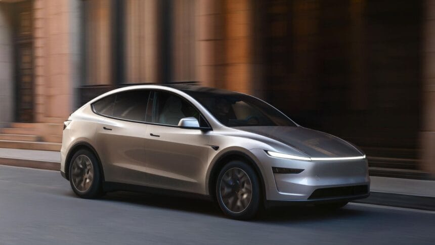 model Y L