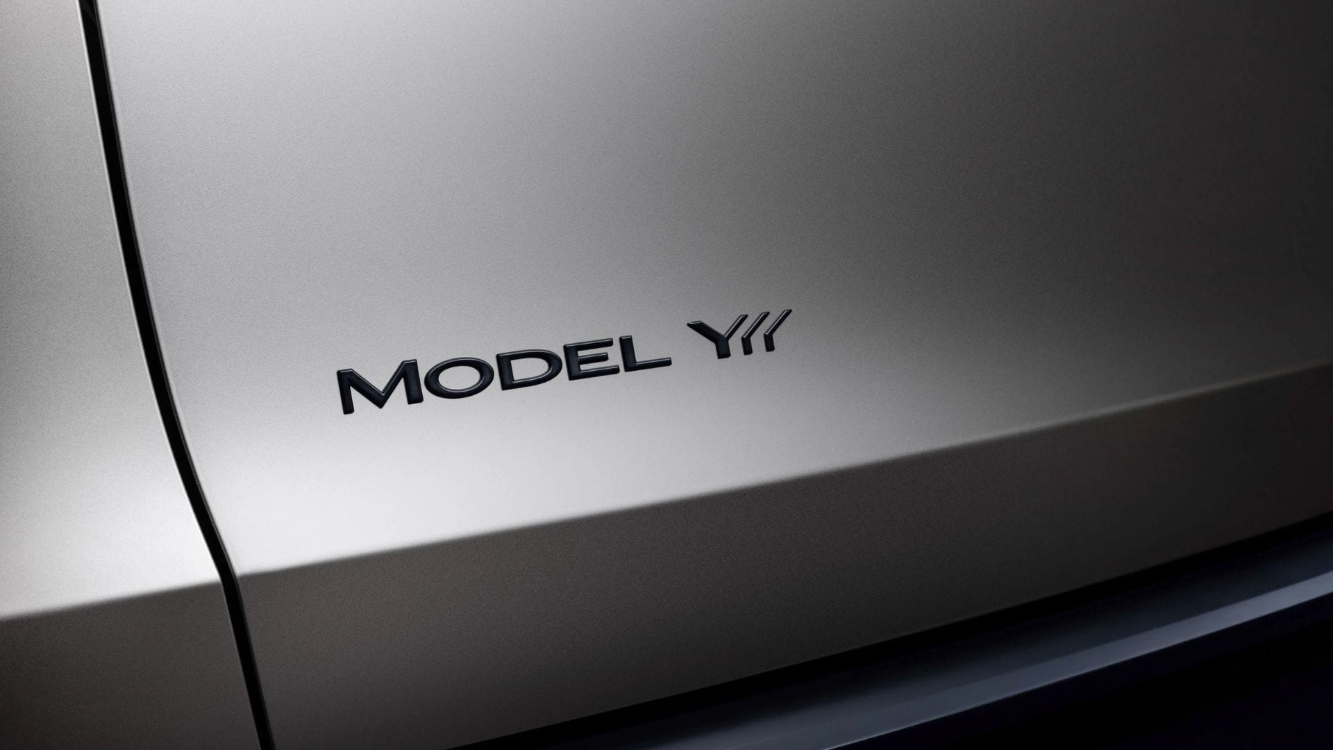 model Y L